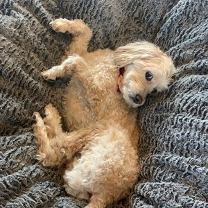 Meet your Posher, Nikki